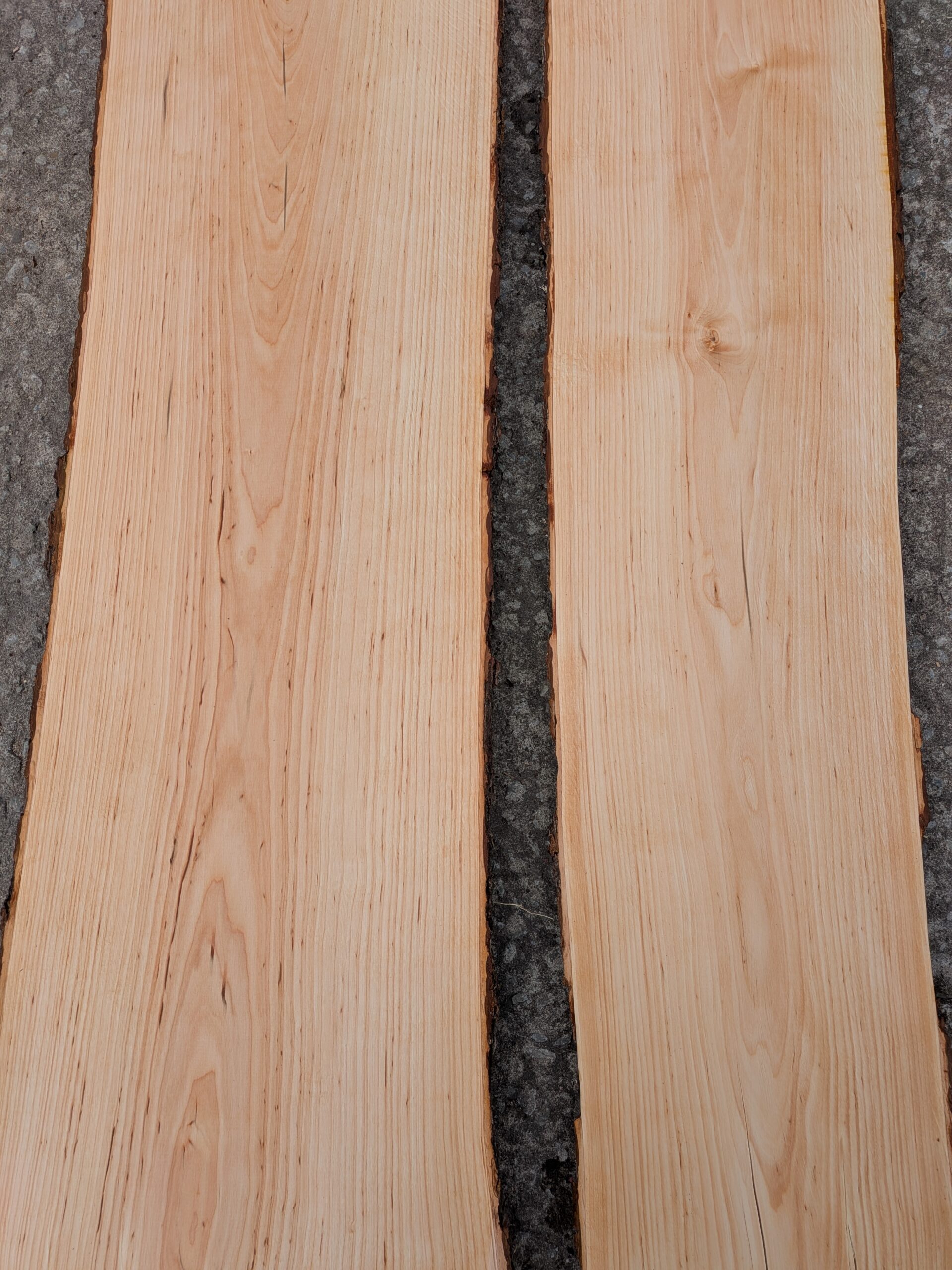 Sanglepalaud (kuiv, kalibreeritud)